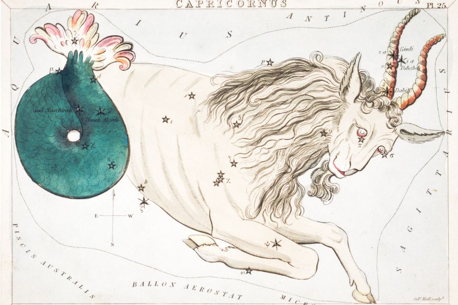 CAPRICÓRNIO (De 22 de dezembro a 19 de janeiro)